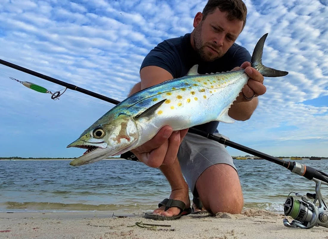Spanish Mackerel Fishing in Türkiye