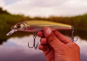 how to start lure fishing