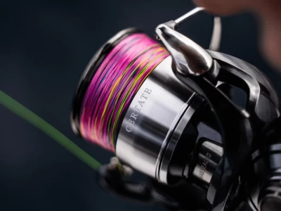 daiwa certate 24 LT