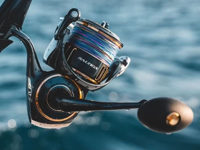 daiwa 25 saltiga