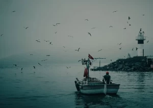 sea bream fishing in Türkiye