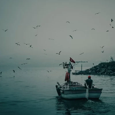 sea bream fishing in Türkiye