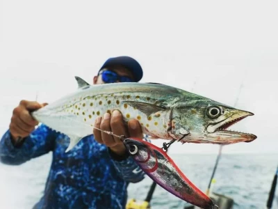 spanish mackerel fishing in Turkey