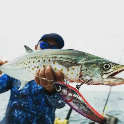 spanish mackerel fishing in Turkey